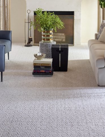 Living Room Pattern Carpet - CarpetsPlus COLORTILE of Bloomington in Bloomington, IL