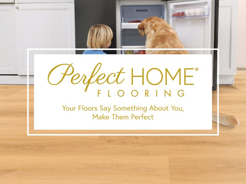 Perfect Home carpet at CarpetsPlus COLORTILE of Bloomington in Bloomington, IL