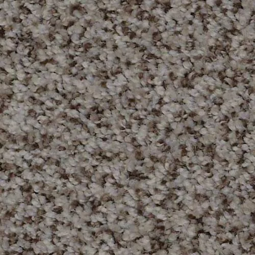 In-stock polyester carpet from CarpetsPlus COLORTILE of Bloomington in Bloomington, IL
