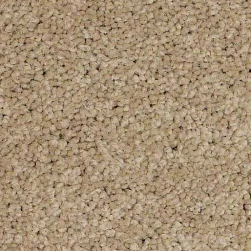 In-stock nylon carpet from CarpetsPlus COLORTILE of Bloomington in Bloomington, IL